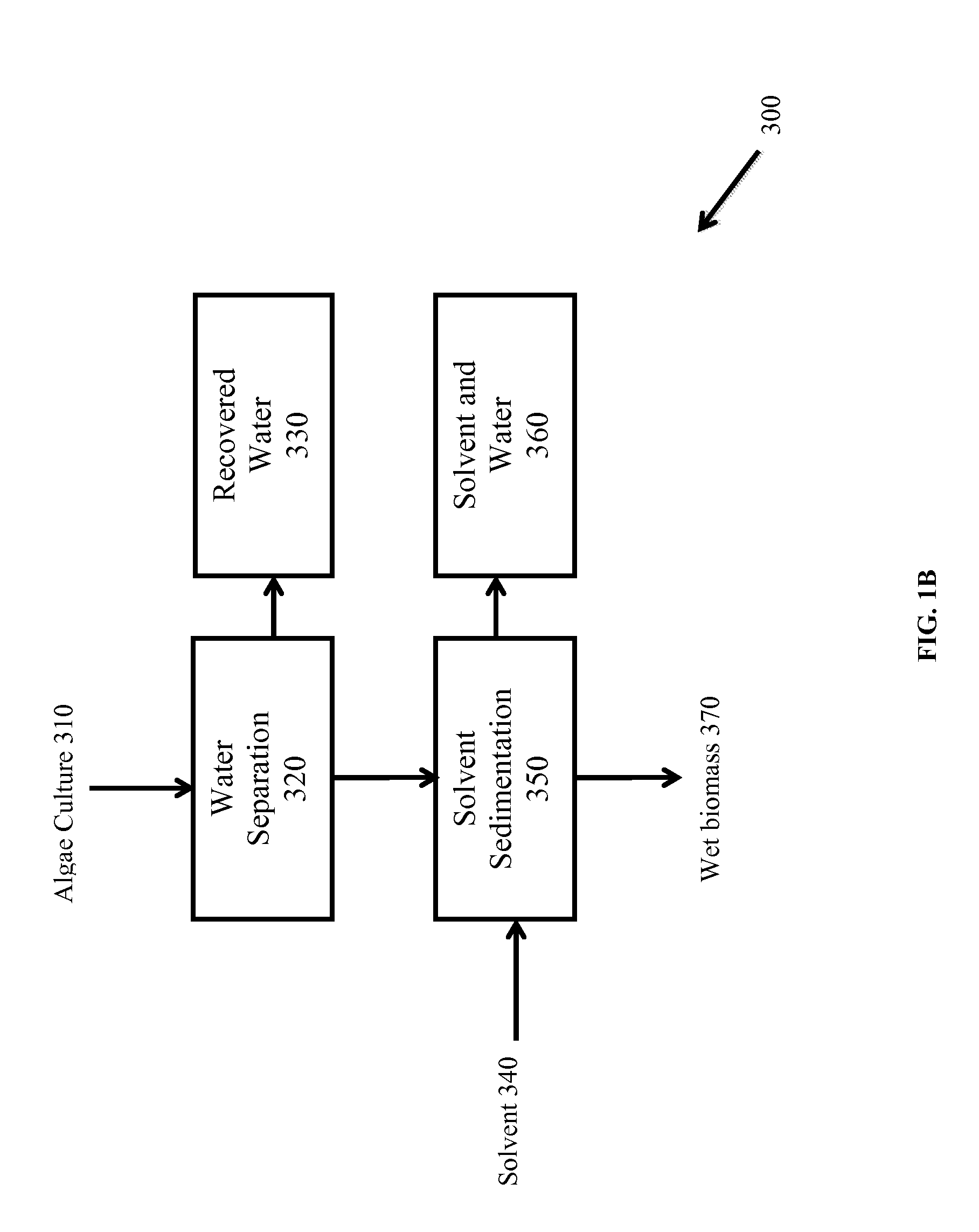 Methods of and Systems for Isolating Nutraceutical Products from Algae