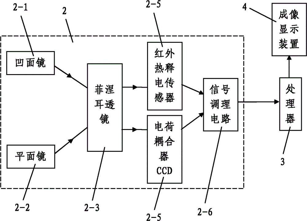 Portable Terahertz remote sensing detector and remote detection method