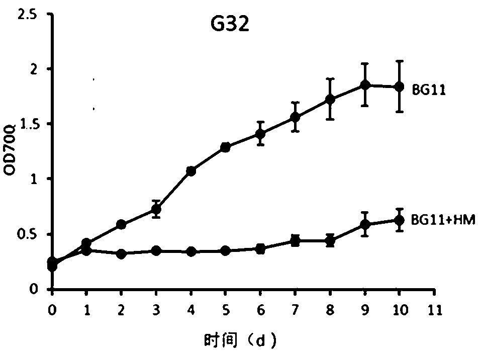 Chlorella W5 capable of removing heavy metal in water body with high heavy metal content and application