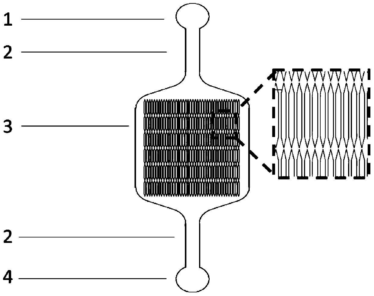 A method for establishing a human heart model based on a microfluidic chip