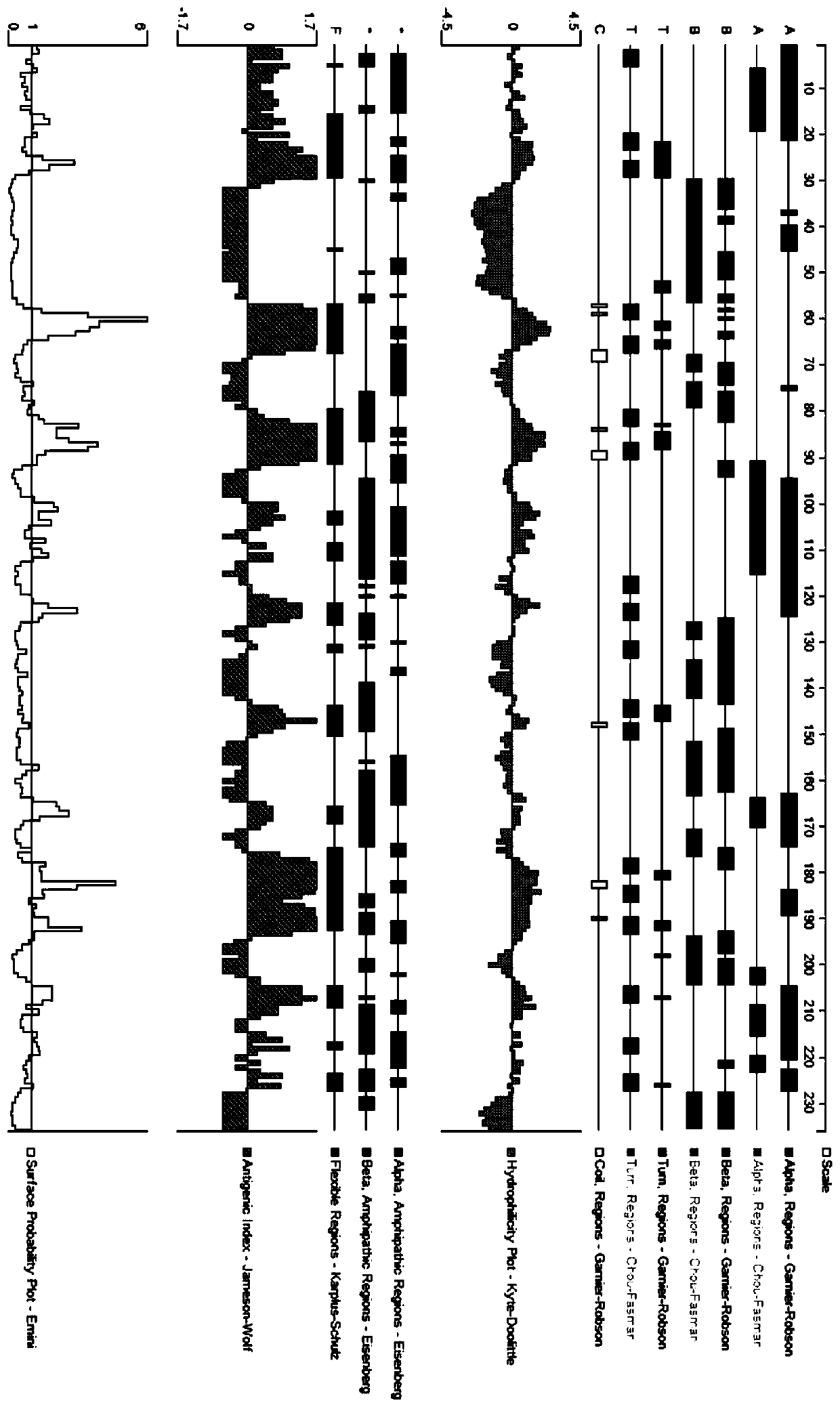 B-cell epitope of tnf-α protein, multi-antigen peptide containing this epitope and application