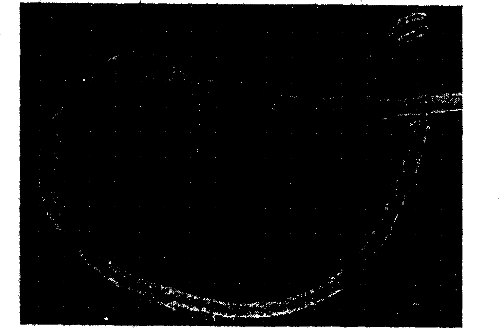 Rice root system phosphorus starvation induction specific expression promoter and its plant culture method