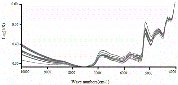 Method for predicting green brick tea raw material pile fermentation degree through near infrared spectrometer scanning