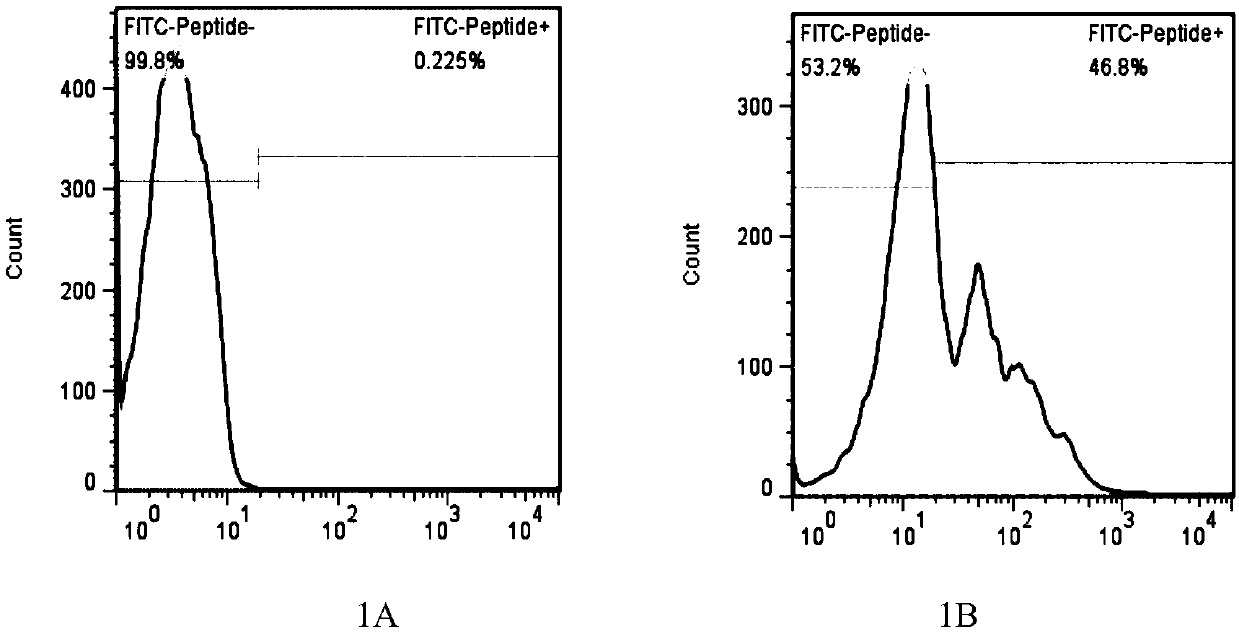 LRFFT2 cell