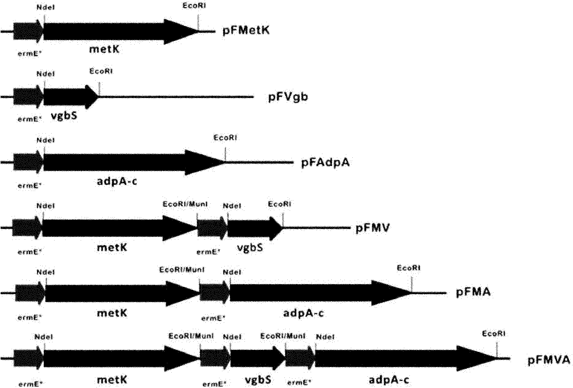 Method for improving yield of Streptomyces antibiotics and plasmid thereof