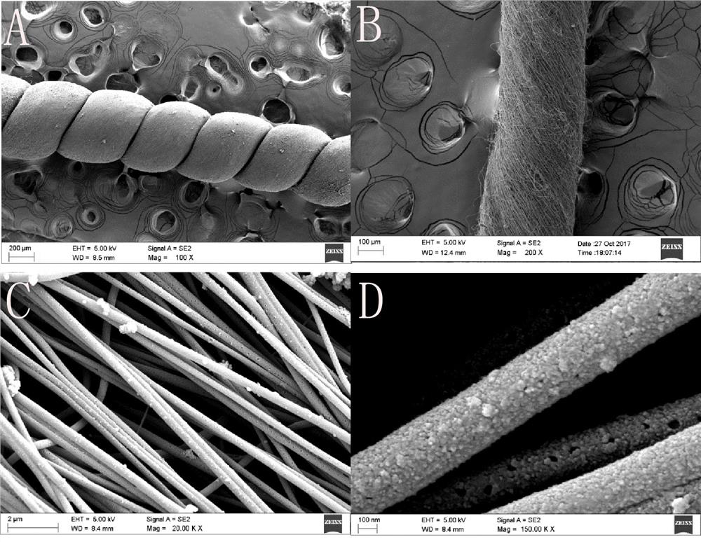 A kind of flexible wearable strain sensor and preparation method thereof