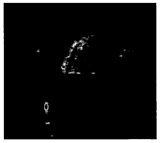 Method for selecting target aiming point on tail section based on convex hull calculation