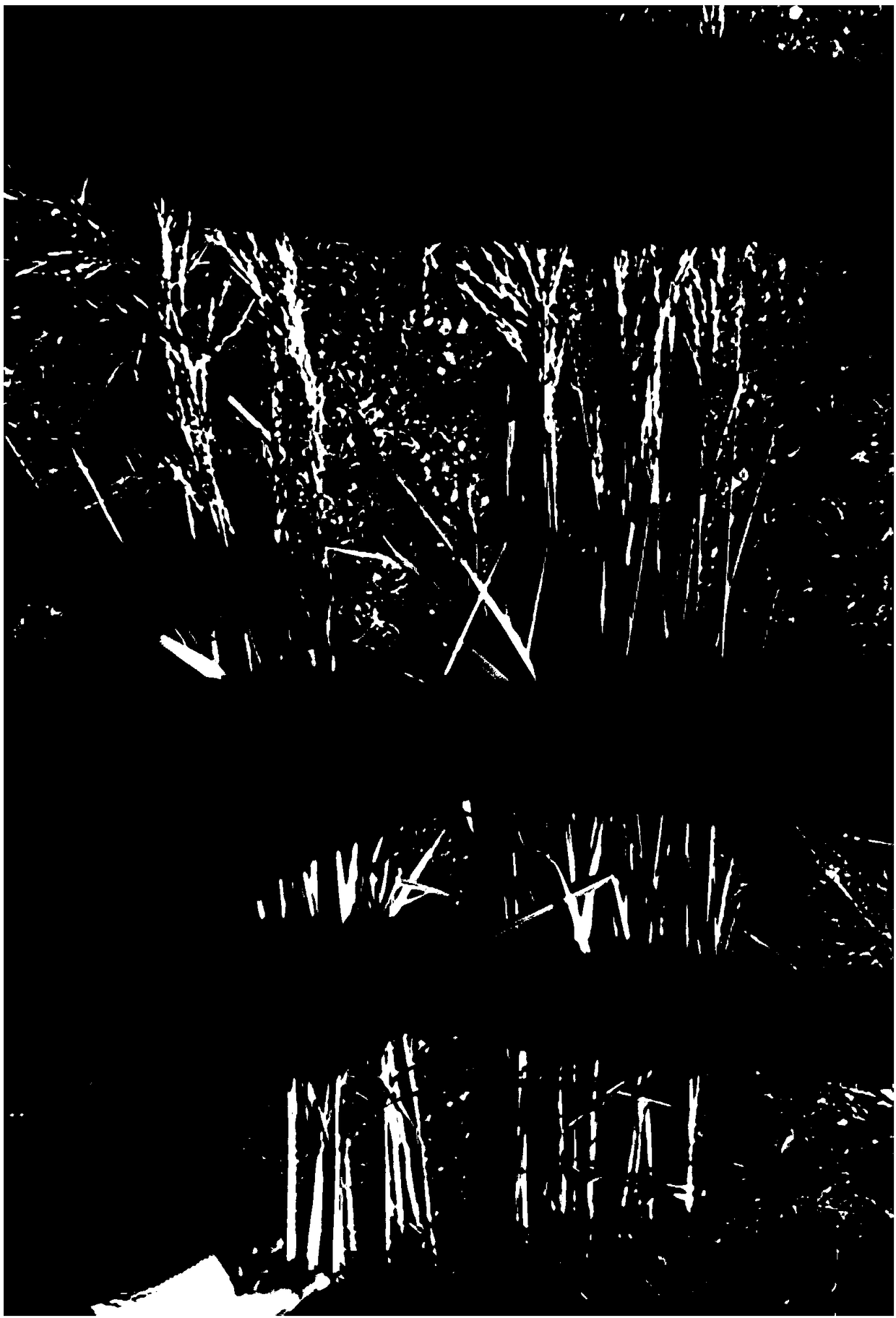 Nutritional composition for rice as well as preparation method and application method of nutritional composition