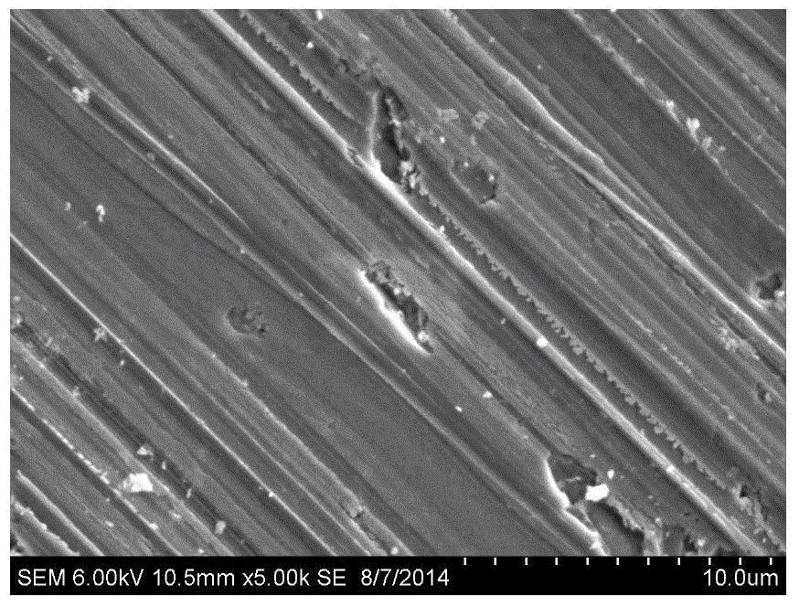 Texture pretreatment liquid for diamond wire cutting polycrystalline silicon wafer, texturing pretreatment method, texturing pretreatment silicon wafer and application thereof