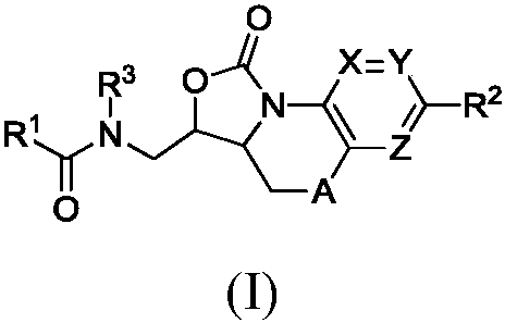 Benzoxazolooxazinones as factor xa inhibitors