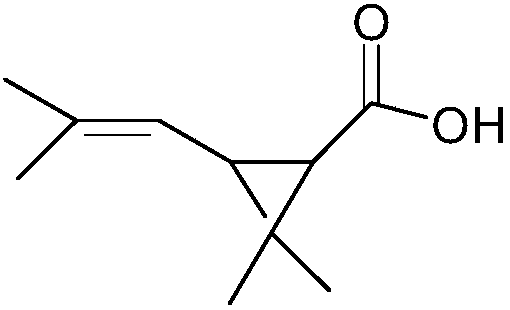Preparation method of dextro trans-chrysanthemic acid