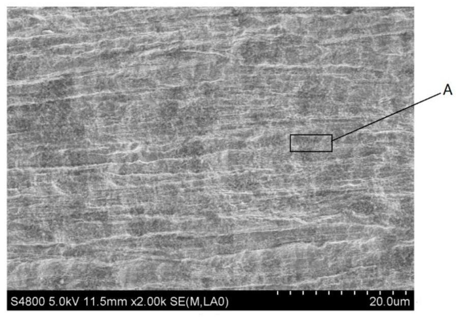 Titanium material, preparation method and application of nano-hydroxyapatite grown in situ on the surface