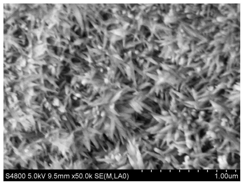 Titanium material, preparation method and application of nano-hydroxyapatite grown in situ on the surface