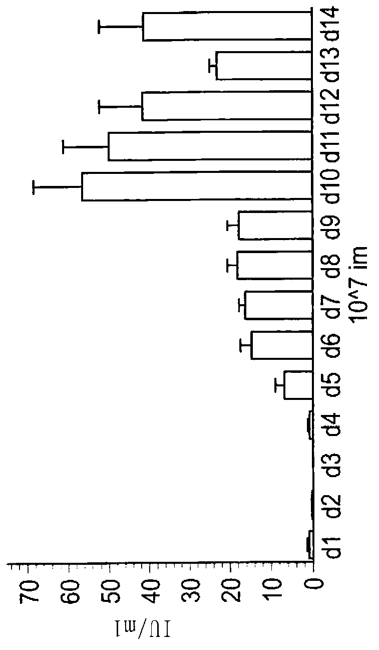 Parapoxvirus vectors containing rabies virus antigen