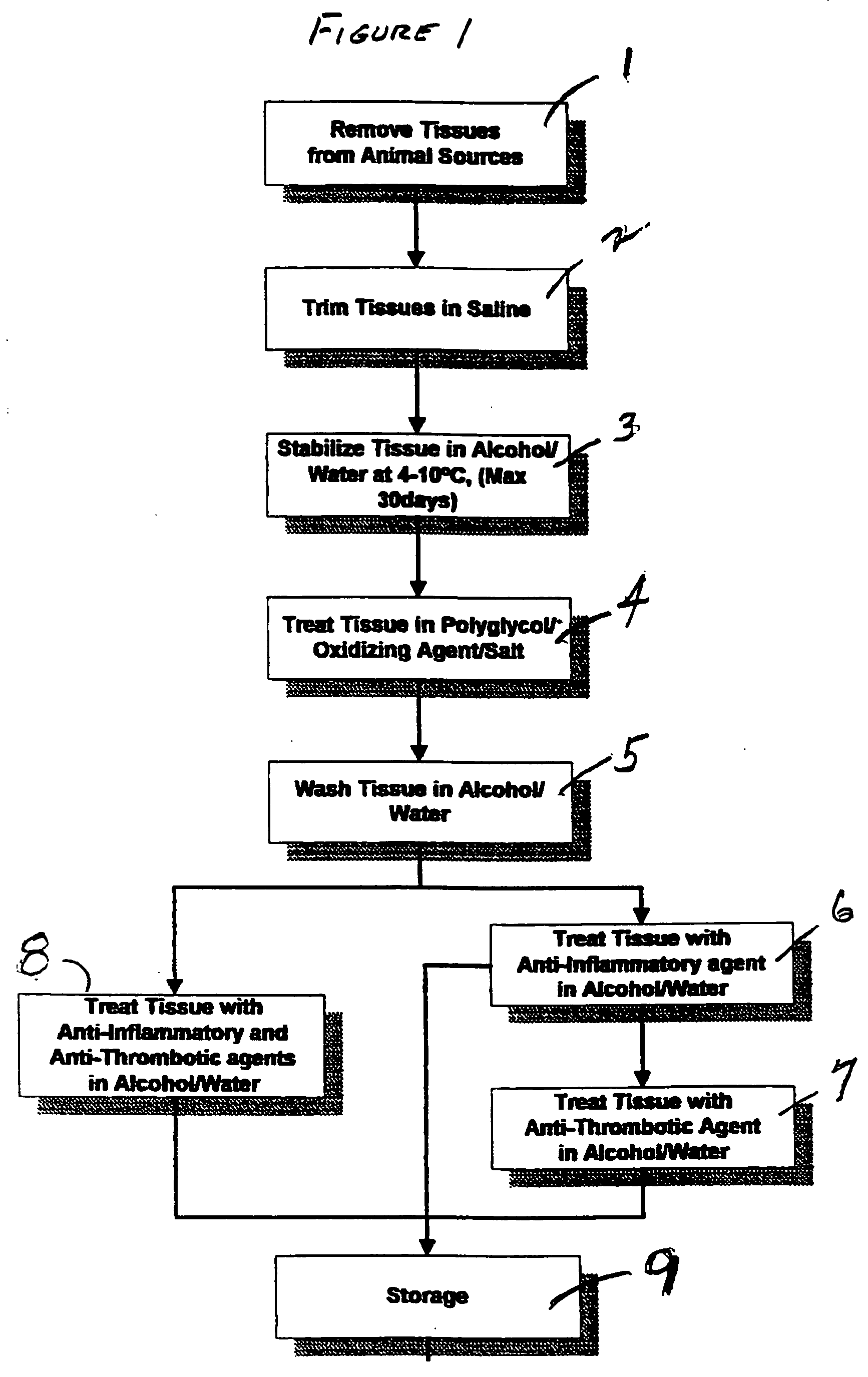 Method to treat collagenous connective tissue for implant remodeled by host cells into living tissue