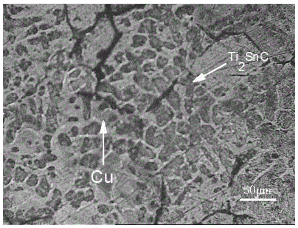 A kind of copper-tin carbide titanium self-lubricating conductive coating and preparation method thereof