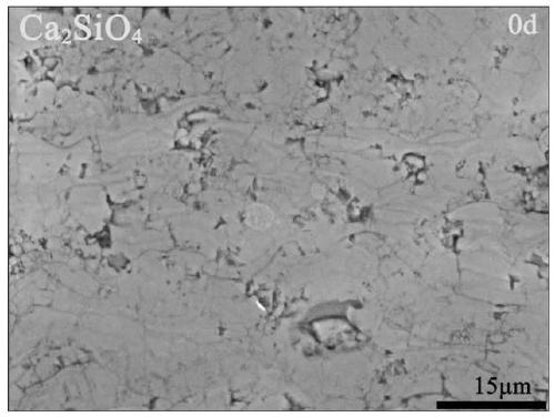 A kind of marine anticorrosion and antifouling composite coating and preparation method thereof