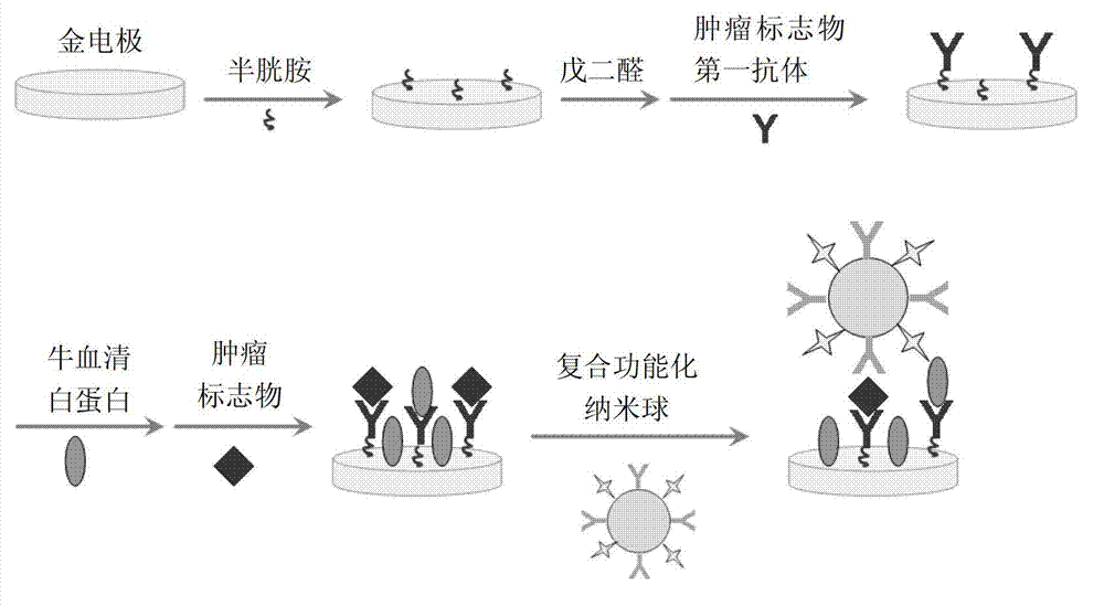 ECL (electrochemiluminescence) immunosensor for detecting tumor markers and preparation method and applications thereof