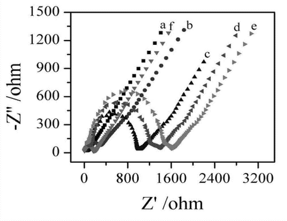 ECL (electrochemiluminescence) immunosensor for detecting tumor markers and preparation method and applications thereof