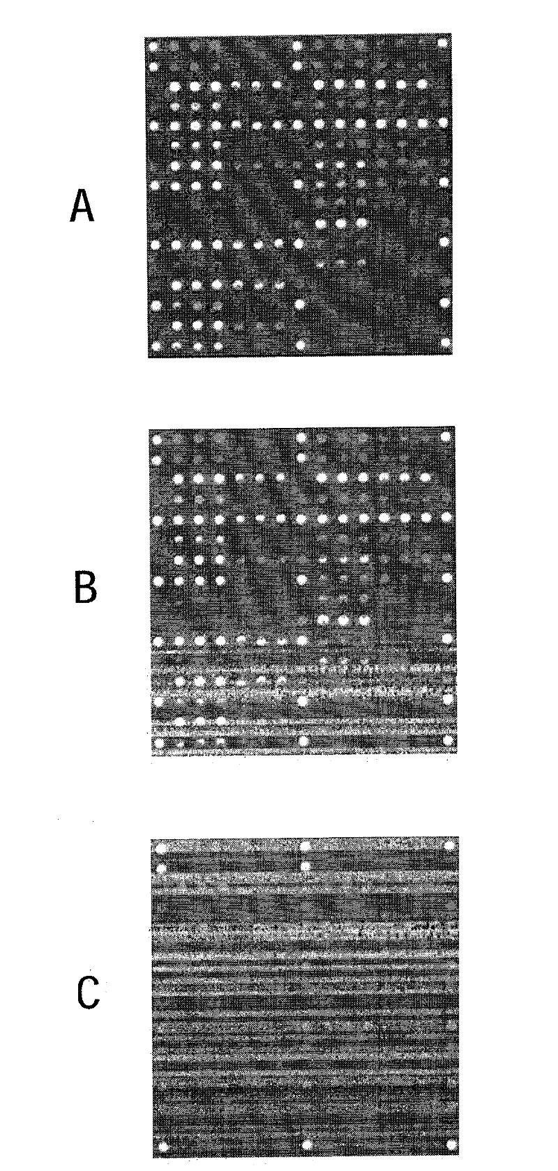 Method for concentrating sample constituents and amplifying nucleic acids