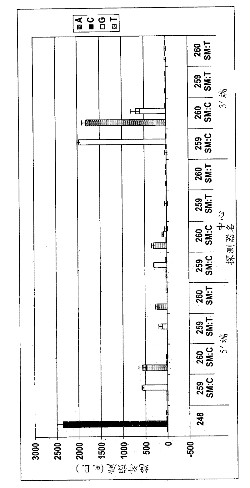 Method for concentrating sample constituents and amplifying nucleic acids