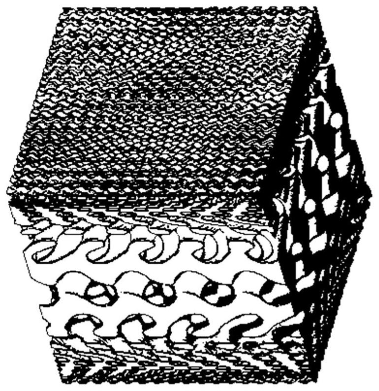 A Bone Tissue Gradient Scaffold with Adjustable Degradation Speed ​​and Its Forming Method Based on 3D Printing