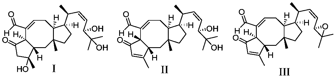 Di-sesquiterpene compound derived from marine fungi, preparation method of di-sesquiterpene compound and application of di-sesquiterpene compound in preparation of anti-inflammatory drugs