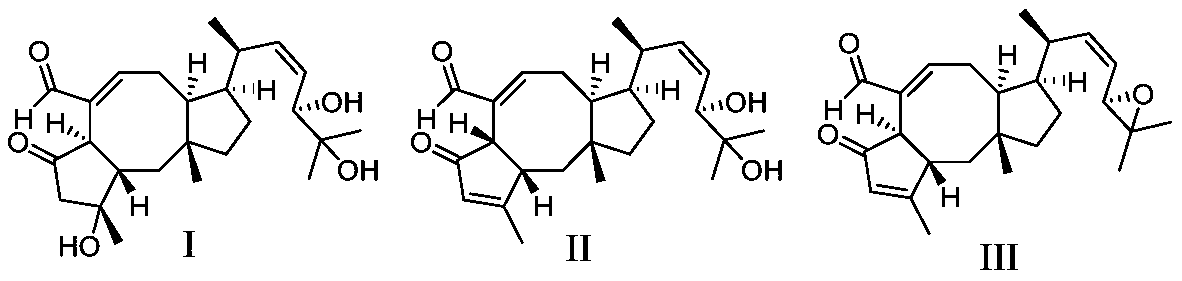 Di-sesquiterpene compound derived from marine fungi, preparation method of di-sesquiterpene compound and application of di-sesquiterpene compound in preparation of anti-inflammatory drugs