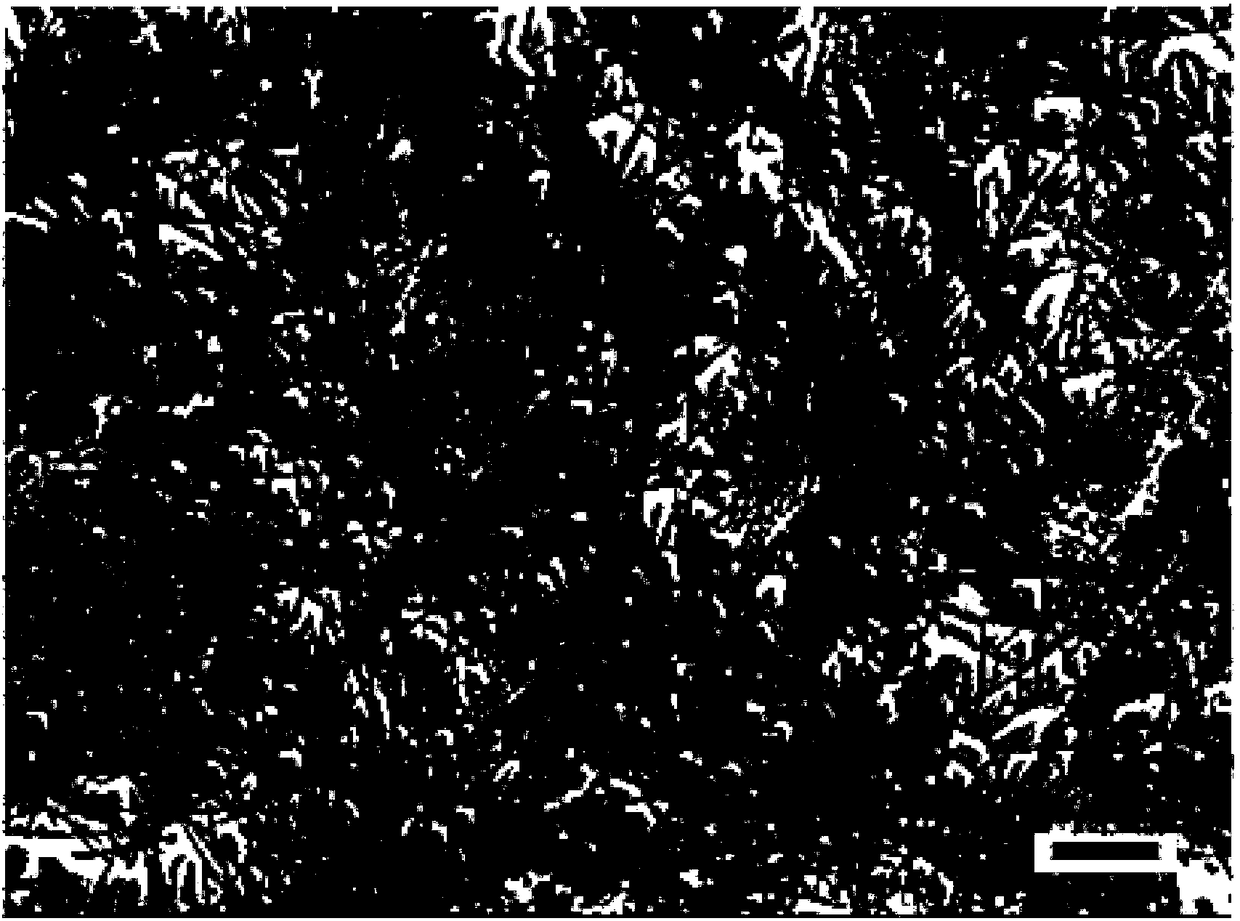 Preparation method of flexible transparent conducting thin film