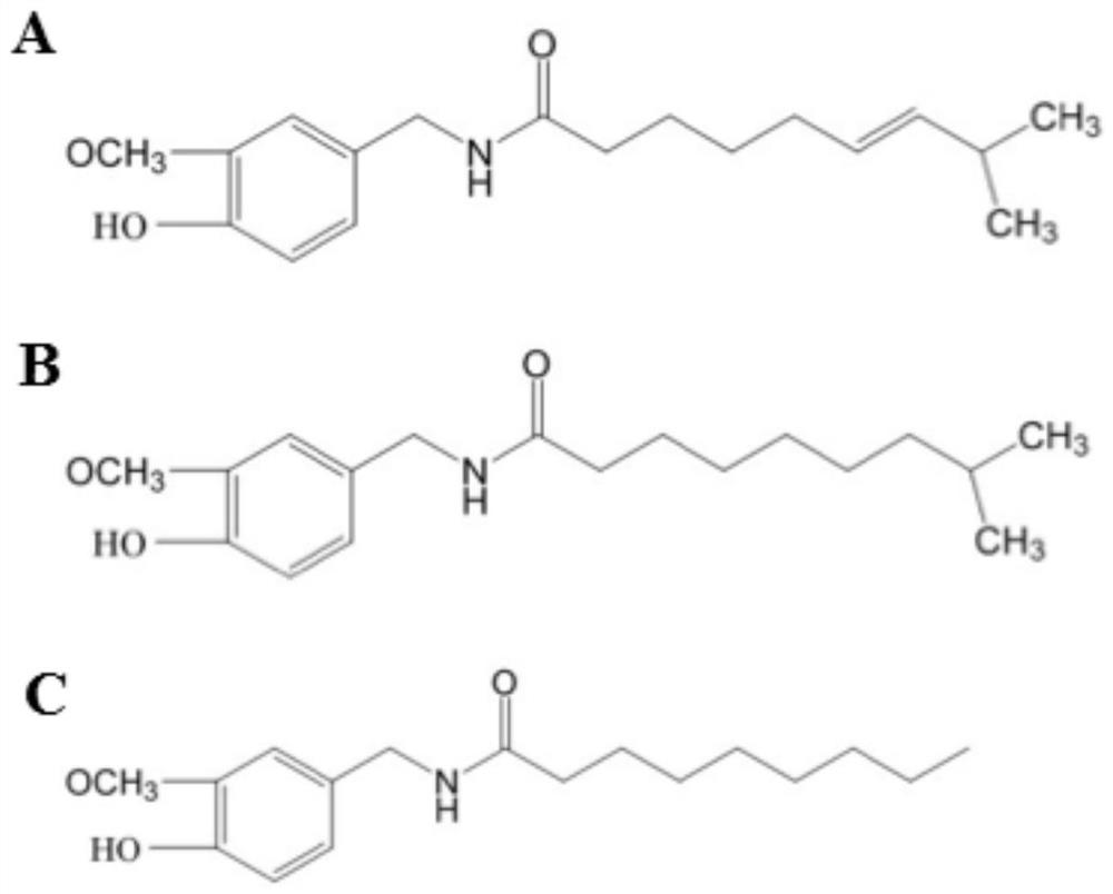 Reverse phase transfer extraction detection process and application of capsaicin compounds in grease