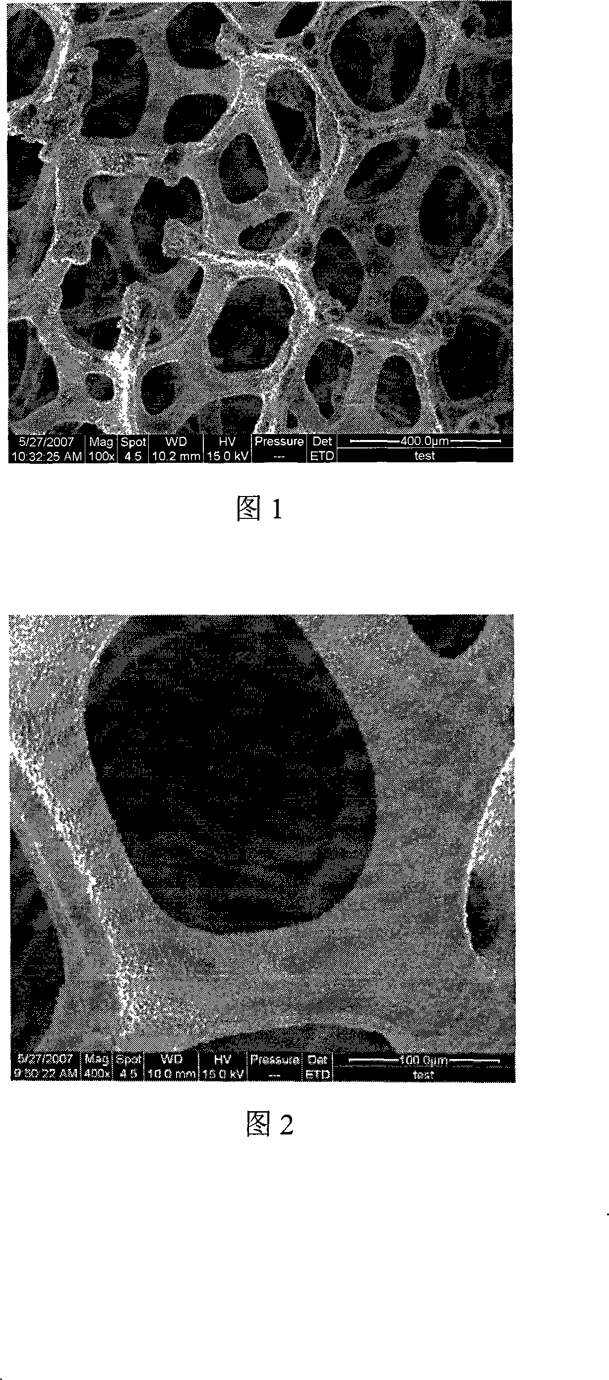 Spume lithium cathode of lithium metal secondary batteries and method for producing the same
