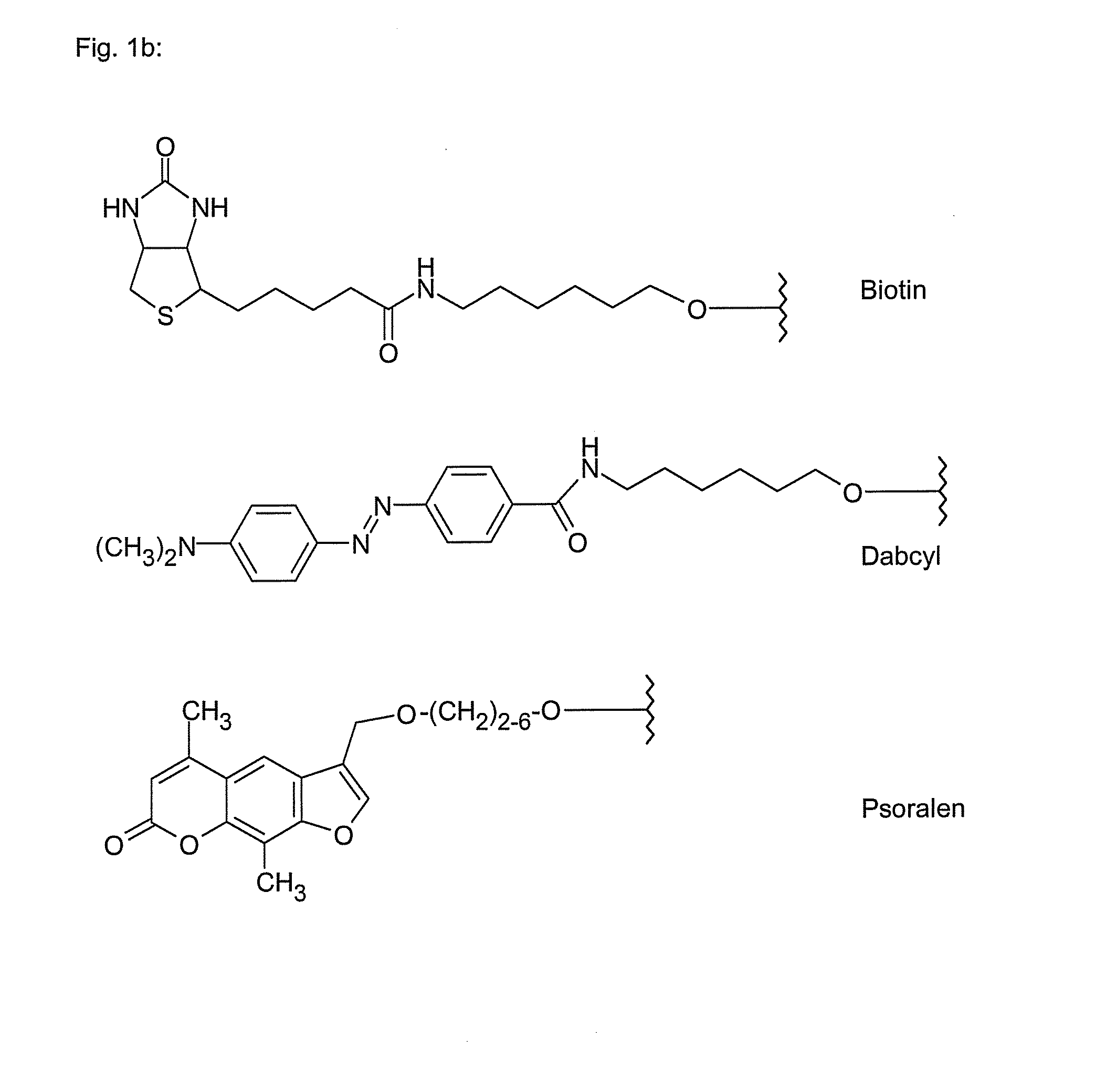 Polyamide nucleic acid derivatives and agents, and processes for preparing them