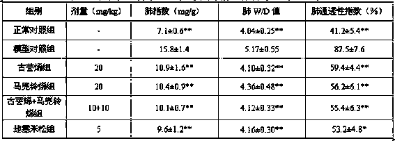 Medicament for treatment of lung diseases and application thereof