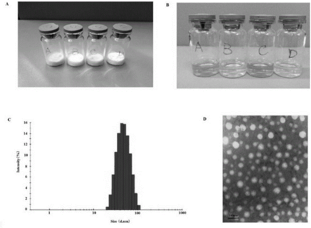 Anticancer drug composition nano-preparation, preparation method and application of nano-preparation to malignant tumor treatment