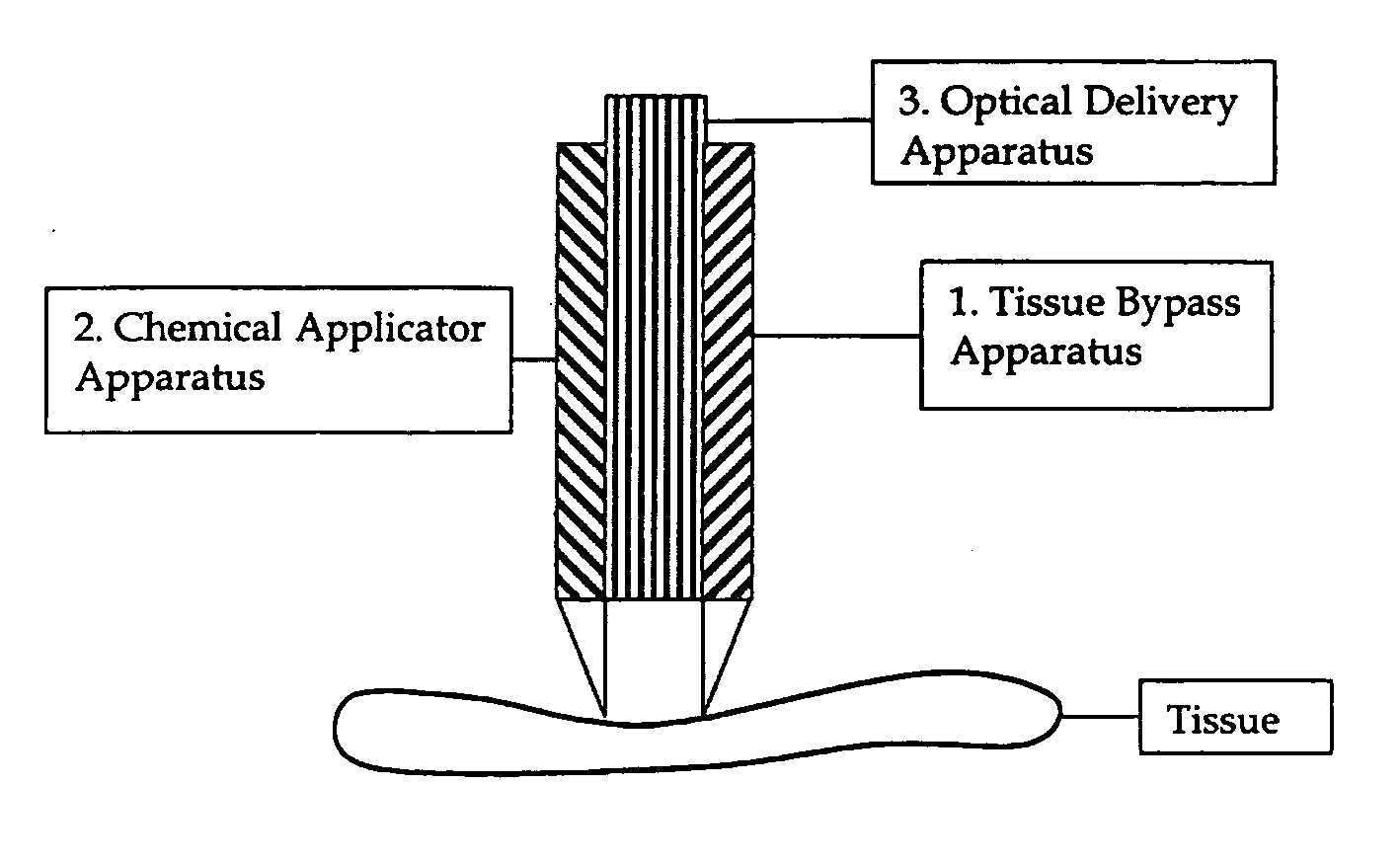Method and apparatus to enhance optical transparency of biological tissues
