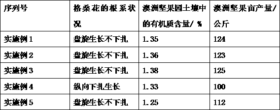 Macadamia garden sod cultivation method