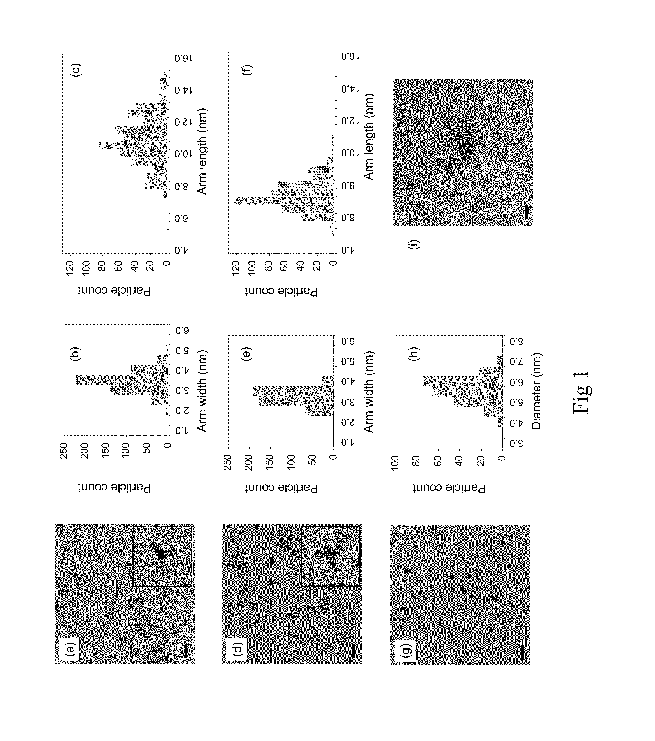 Synthesis of Uniform Nanoparticle Shapes with High Selectivity