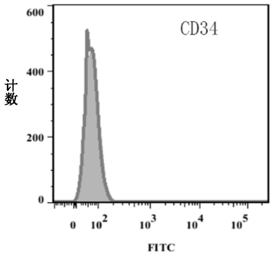 Functionally linked polypeptide, exosome drug delivery system that can specifically bind collagen and its application