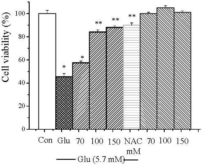 A kind of effective part of Dendrobium melon and its preparation method and application