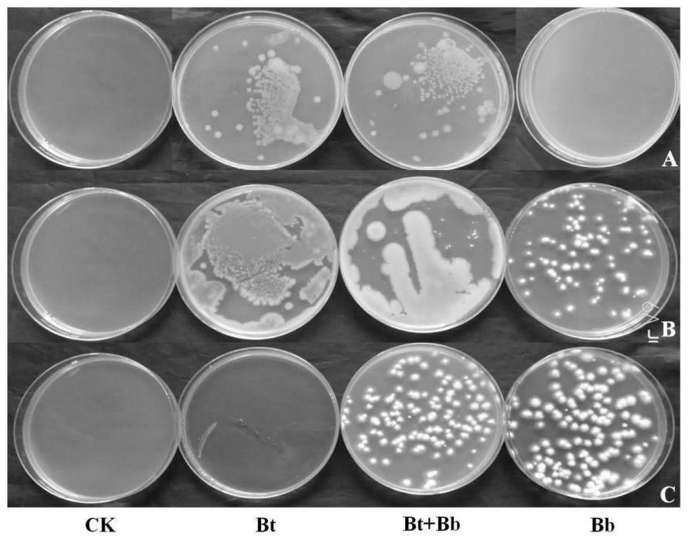 A kind of insecticidal composition and its application, insecticide