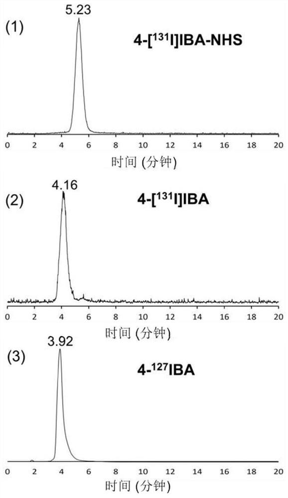 A radioactive iodine-labeled protein-binding ligand and its application