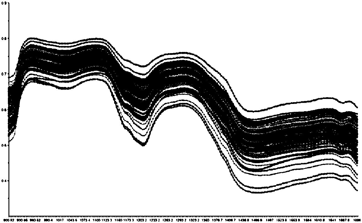 Method for detecting fat content distribution in peanuts based on hyperspectral imaging technology