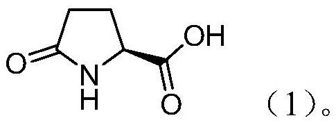 Application of pyroglutamic acid in the preparation of drugs for the prevention and treatment of novel coronavirus pneumonia