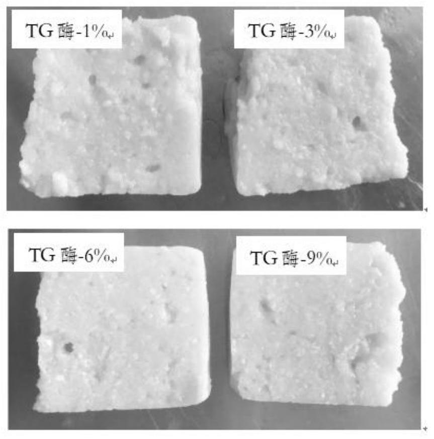 Protein-based fat meat tissue and preparation method thereof