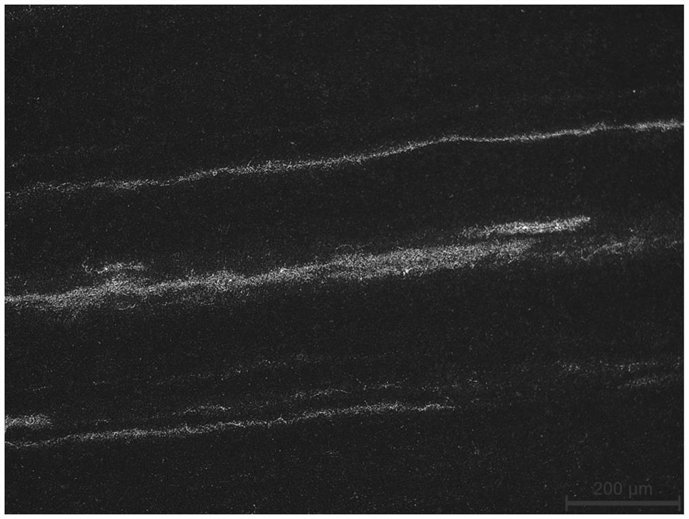 Method for making high carbon chromium bearing steel