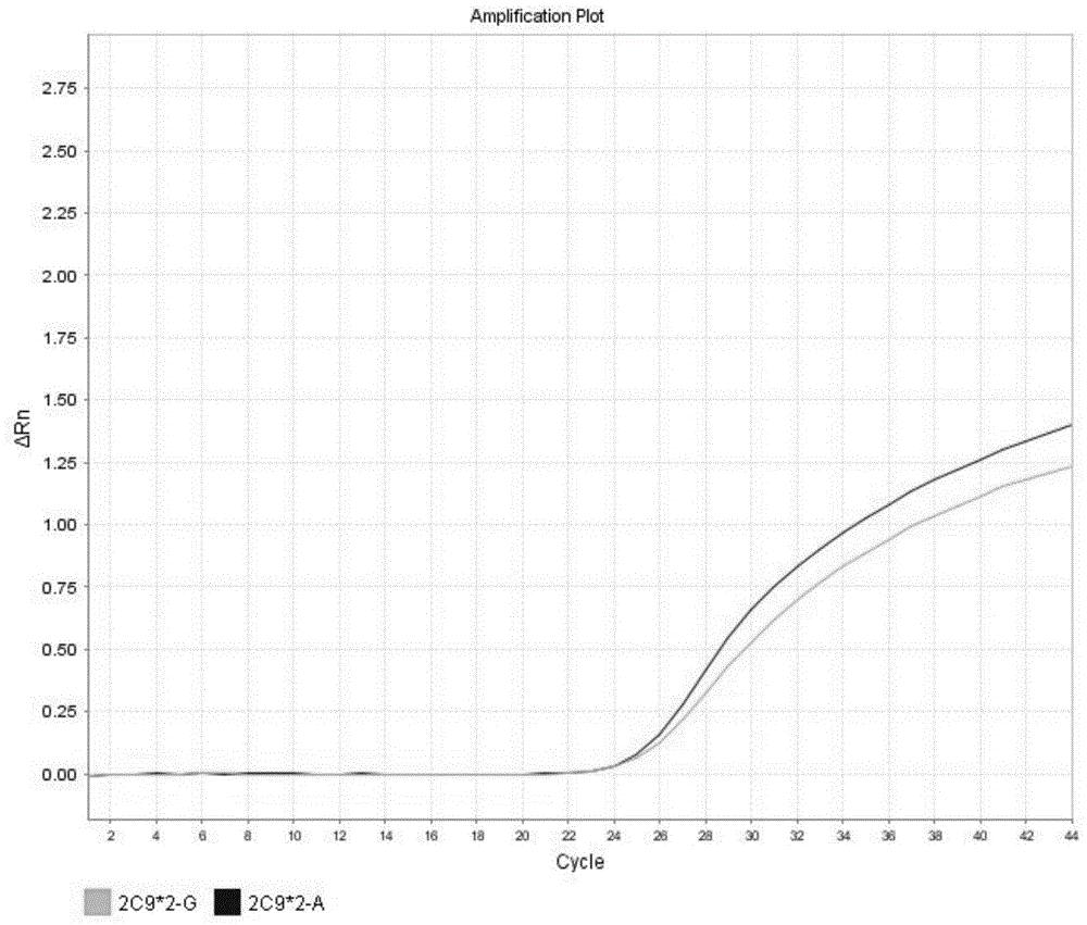 Detection method for CYP2C9*2 gene polymorphism, as well as nucleic acid probe and kit for method
