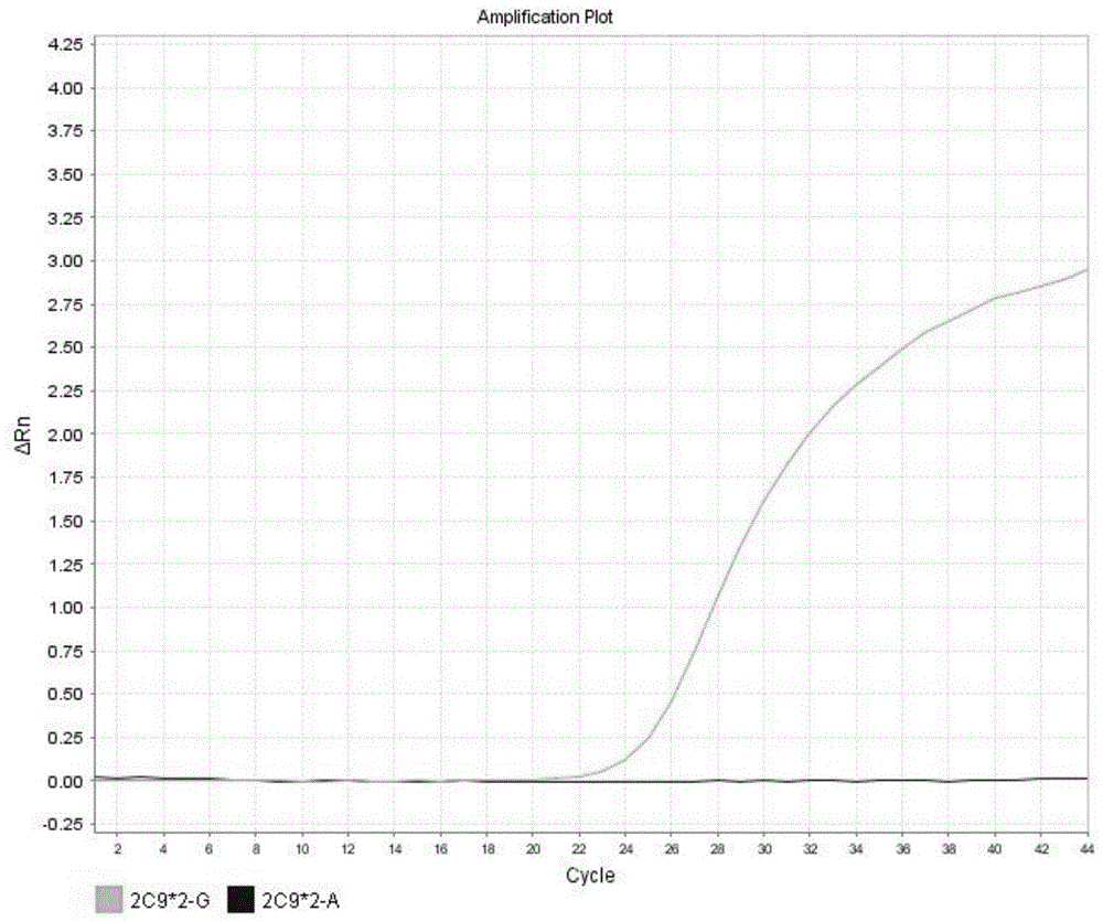 Detection method for CYP2C9*2 gene polymorphism, as well as nucleic acid probe and kit for method