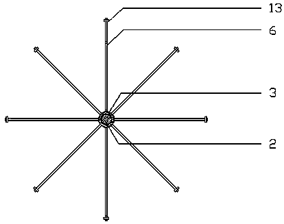 Multi-faced displaying shelf of improved structure