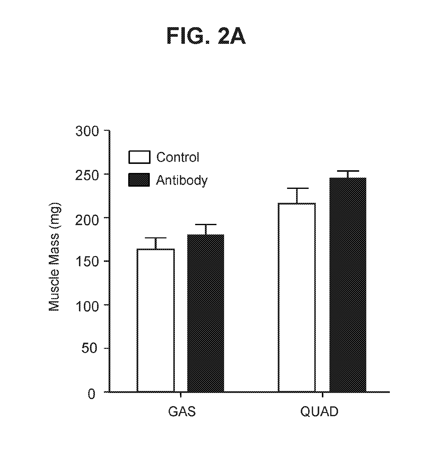 Antagonist antibodies against gdf-8 and uses therefor