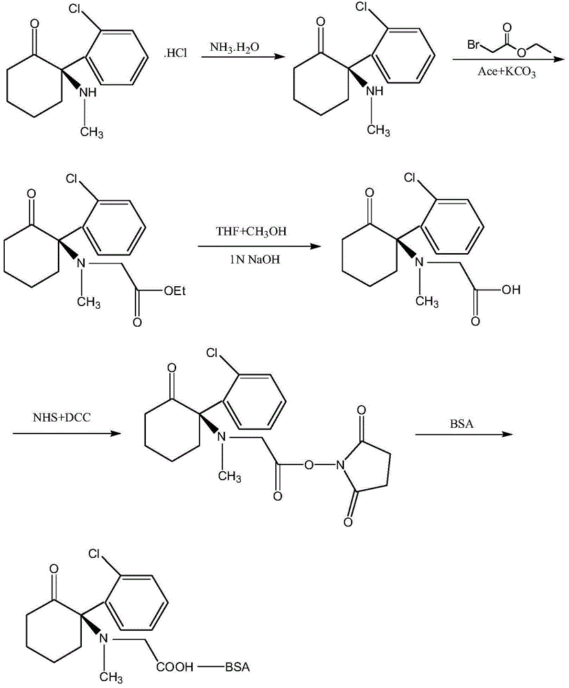 Preparation method of artificial antigen of ketamine